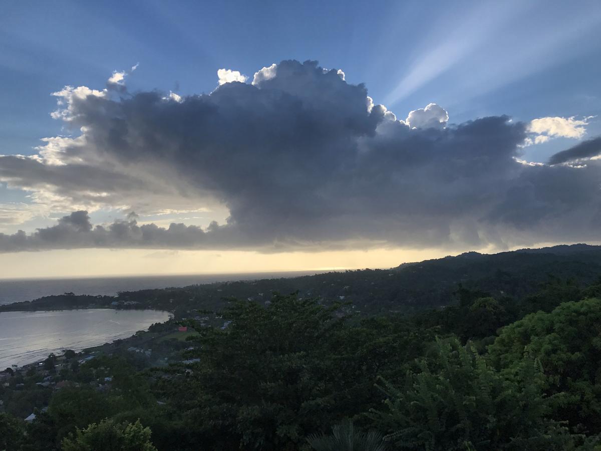 Treetops Villa Port Antonio Buitenkant foto