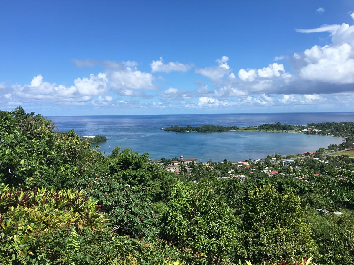 Treetops Villa Port Antonio Buitenkant foto