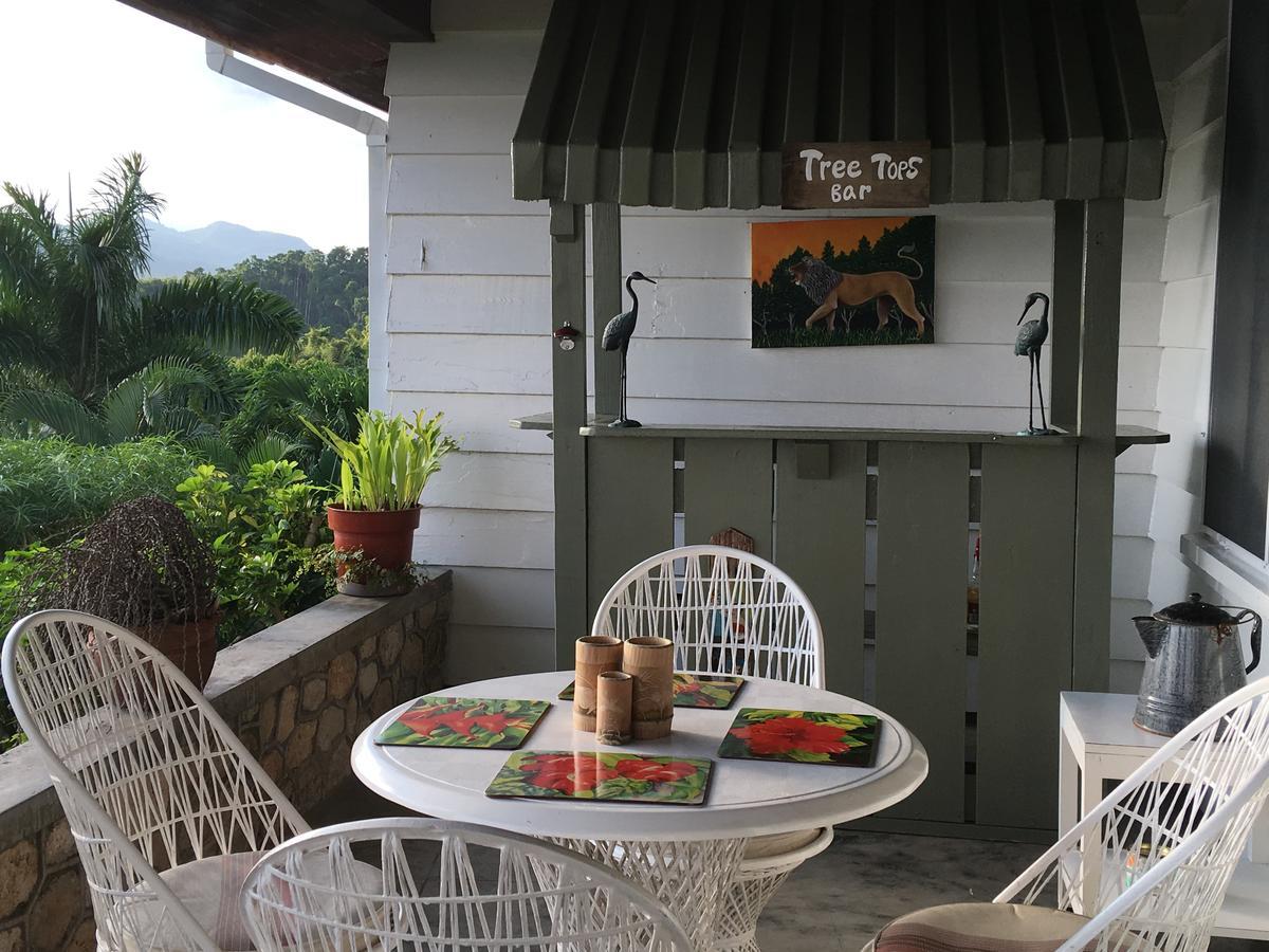 Treetops Villa Port Antonio Buitenkant foto