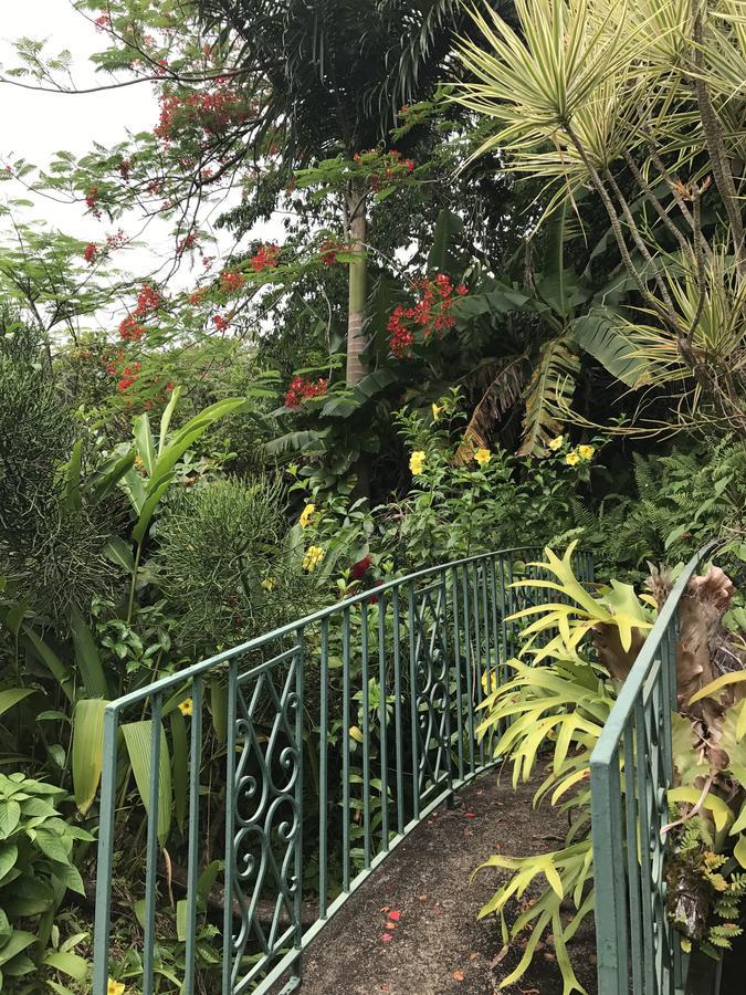 Treetops Villa Port Antonio Buitenkant foto