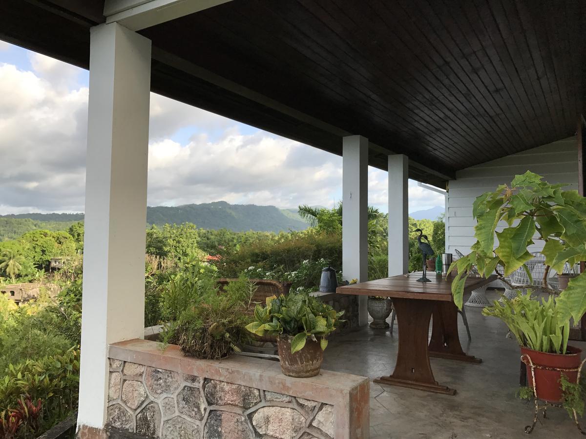 Treetops Villa Port Antonio Buitenkant foto