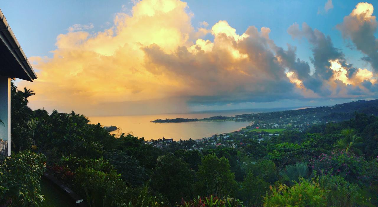 Treetops Villa Port Antonio Buitenkant foto