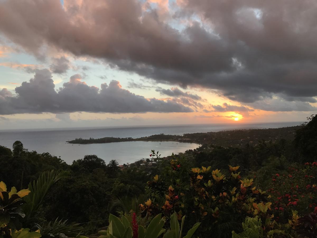 Treetops Villa Port Antonio Buitenkant foto