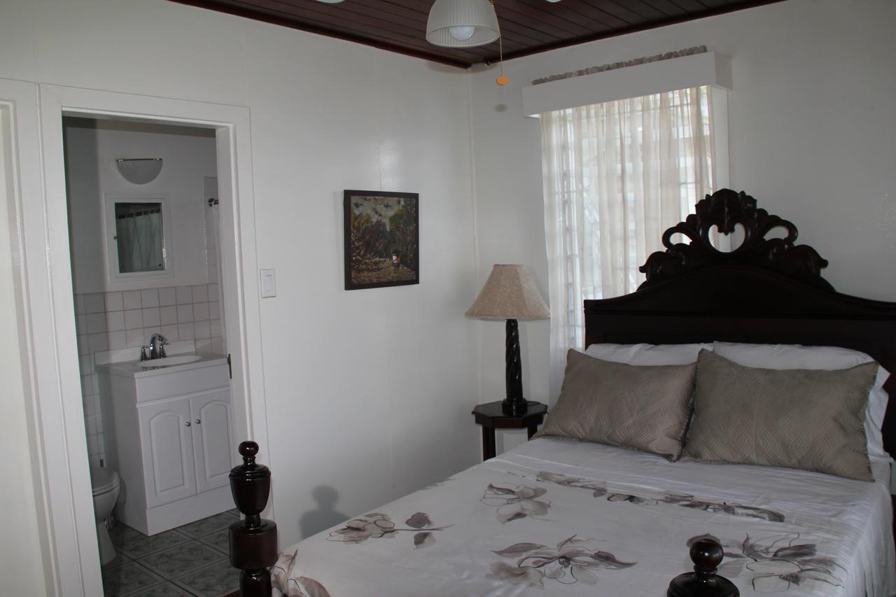 Treetops Villa Port Antonio Buitenkant foto