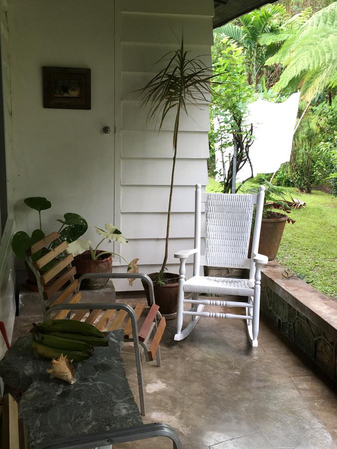 Treetops Villa Port Antonio Buitenkant foto