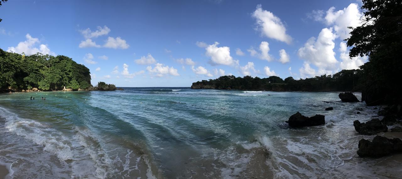 Treetops Villa Port Antonio Buitenkant foto