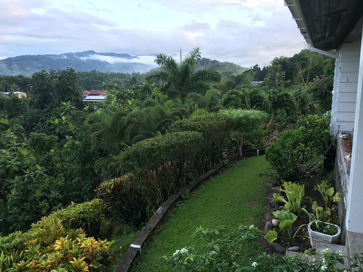 Treetops Villa Port Antonio Buitenkant foto